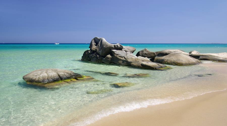 Appartamenti Le Ginestre A Pochi Passi Dal Mare