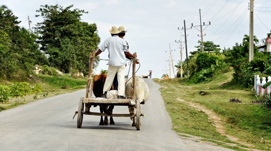 Cuba è Natura