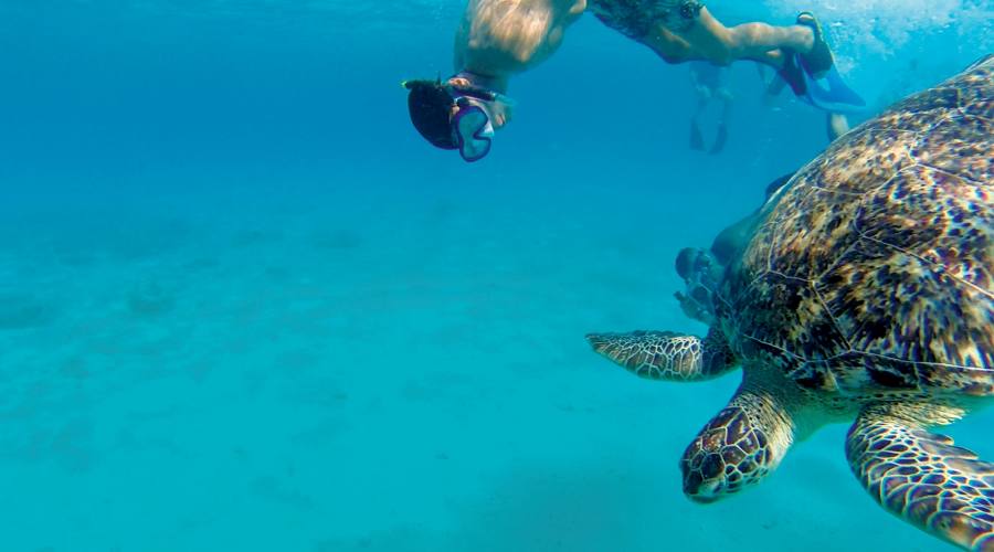 Snorkeling