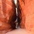 Petra, al-Siq (canyon di ingresso...