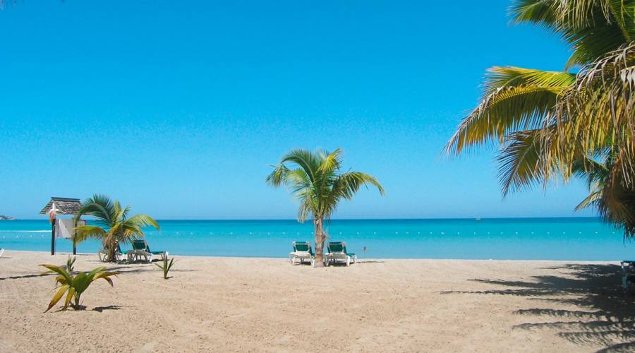 The Beach