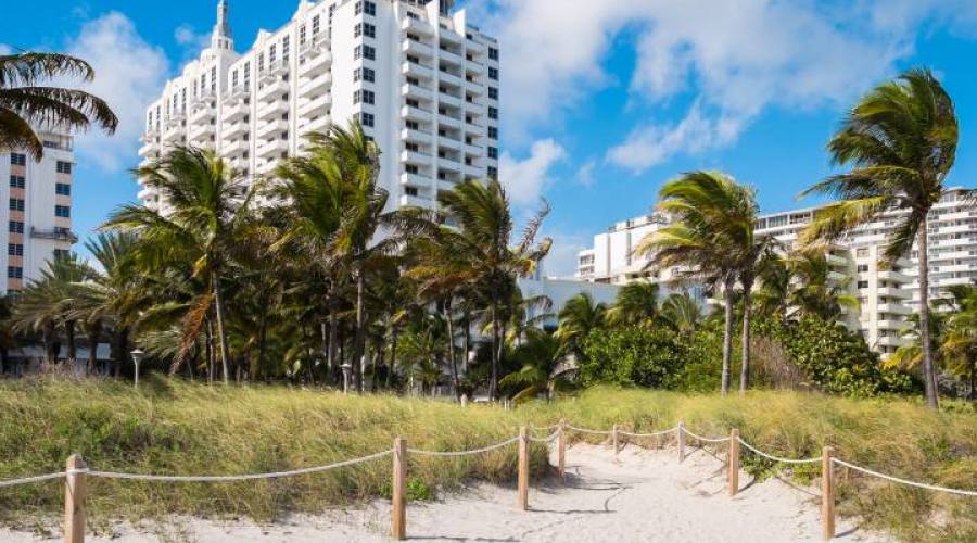 Miami Beach