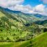 Cocora Palme di Cera 