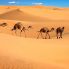 Deserto del Marocco