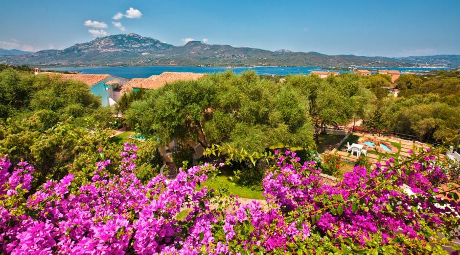 vista della struttura