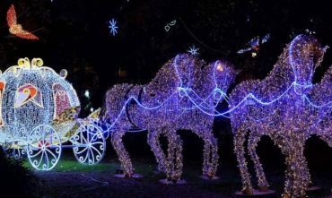 In bus alla scoperta di Luci d'Artista e Mercatini di Natale