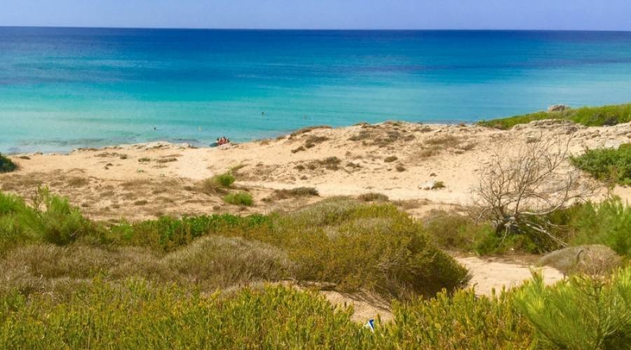 Le dune di Campomarino