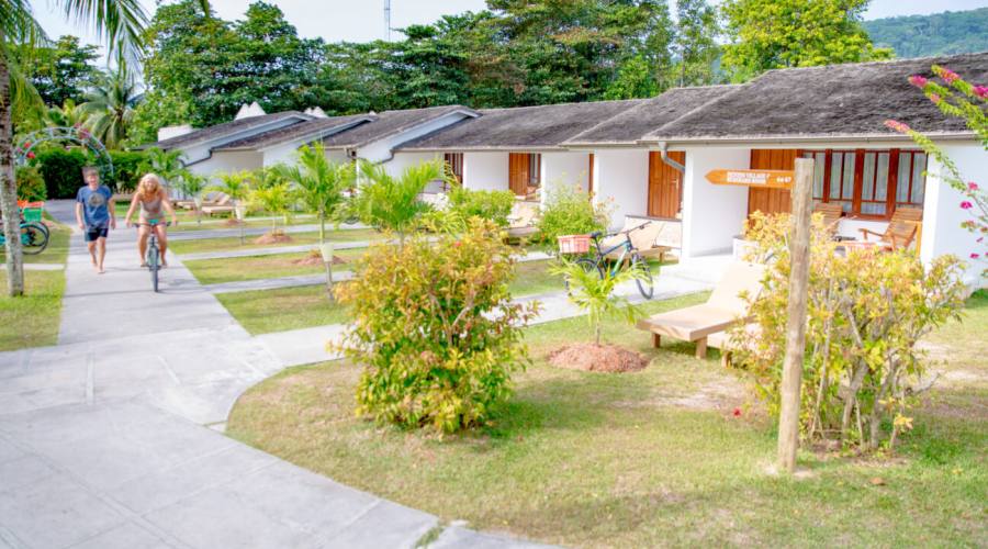 Camera standard garden 