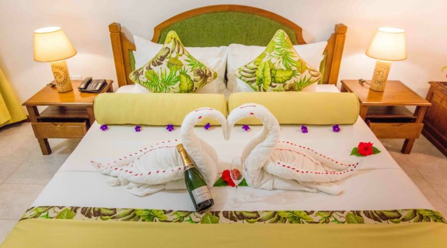 Camera standard garden 