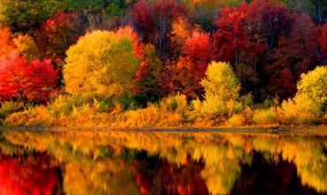 I Mille Colori del New England - Tour di Gruppo Privato