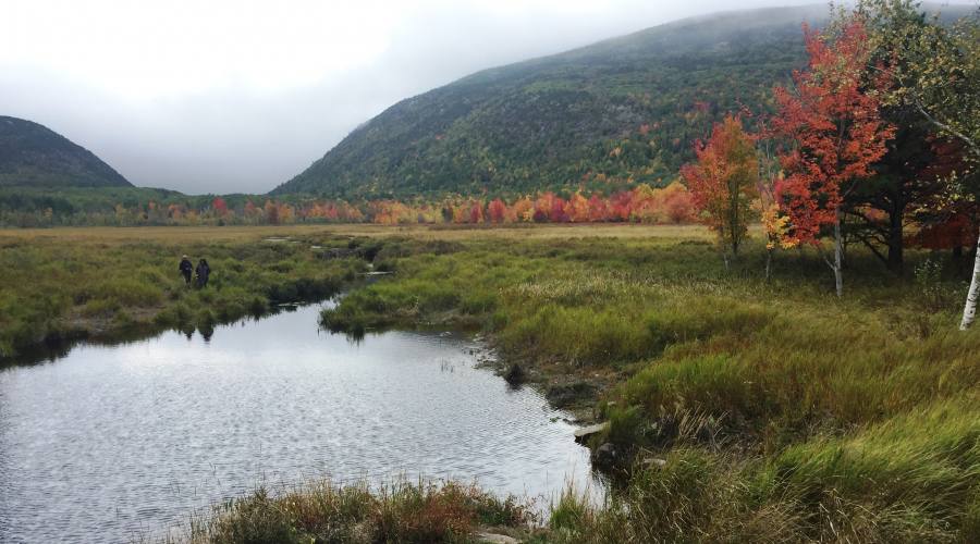 Acadia Np